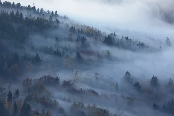Photo : Brume forestière sur les hauteurs de Cornimont à l'automne, Vosges.