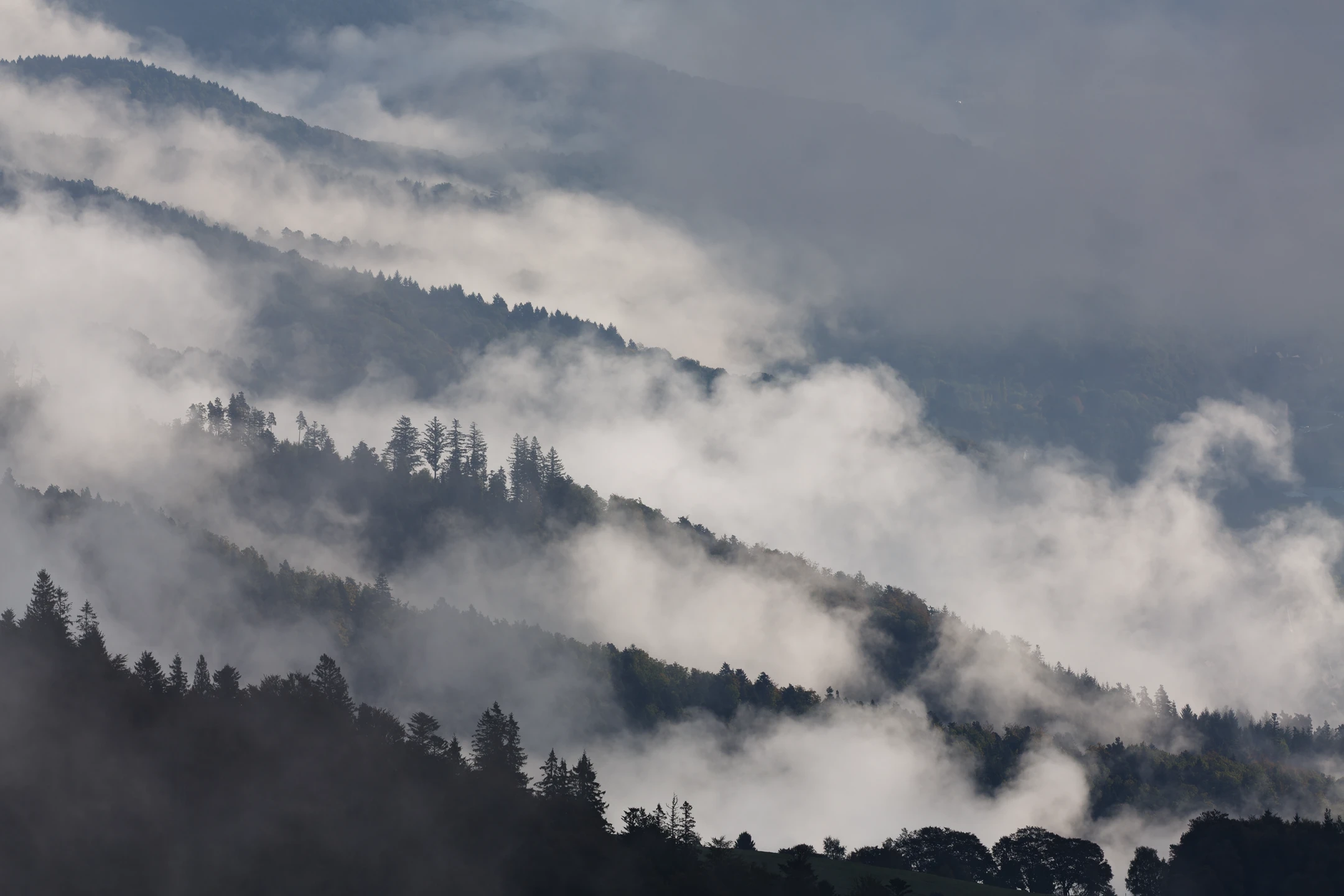 Photo : Succession de montagnes embrumées en automne, Vosges.