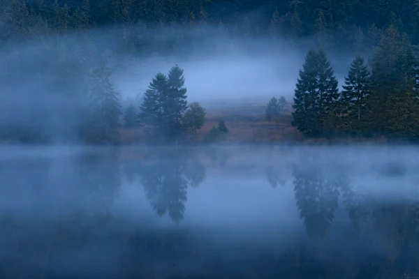 Photo : Souffle de brume sur le Lac de la Ténine au crépuscule, Vosges.