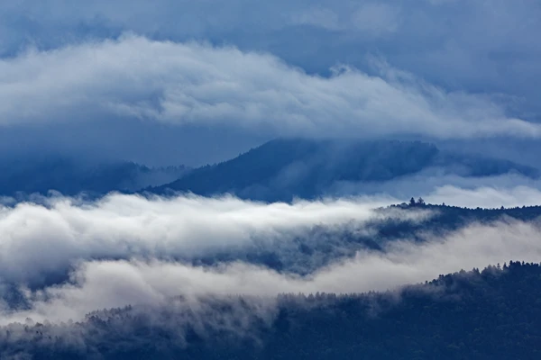 Photo : Brume serpentine vue depuis les Spitzkoepfe en été, Vosges.