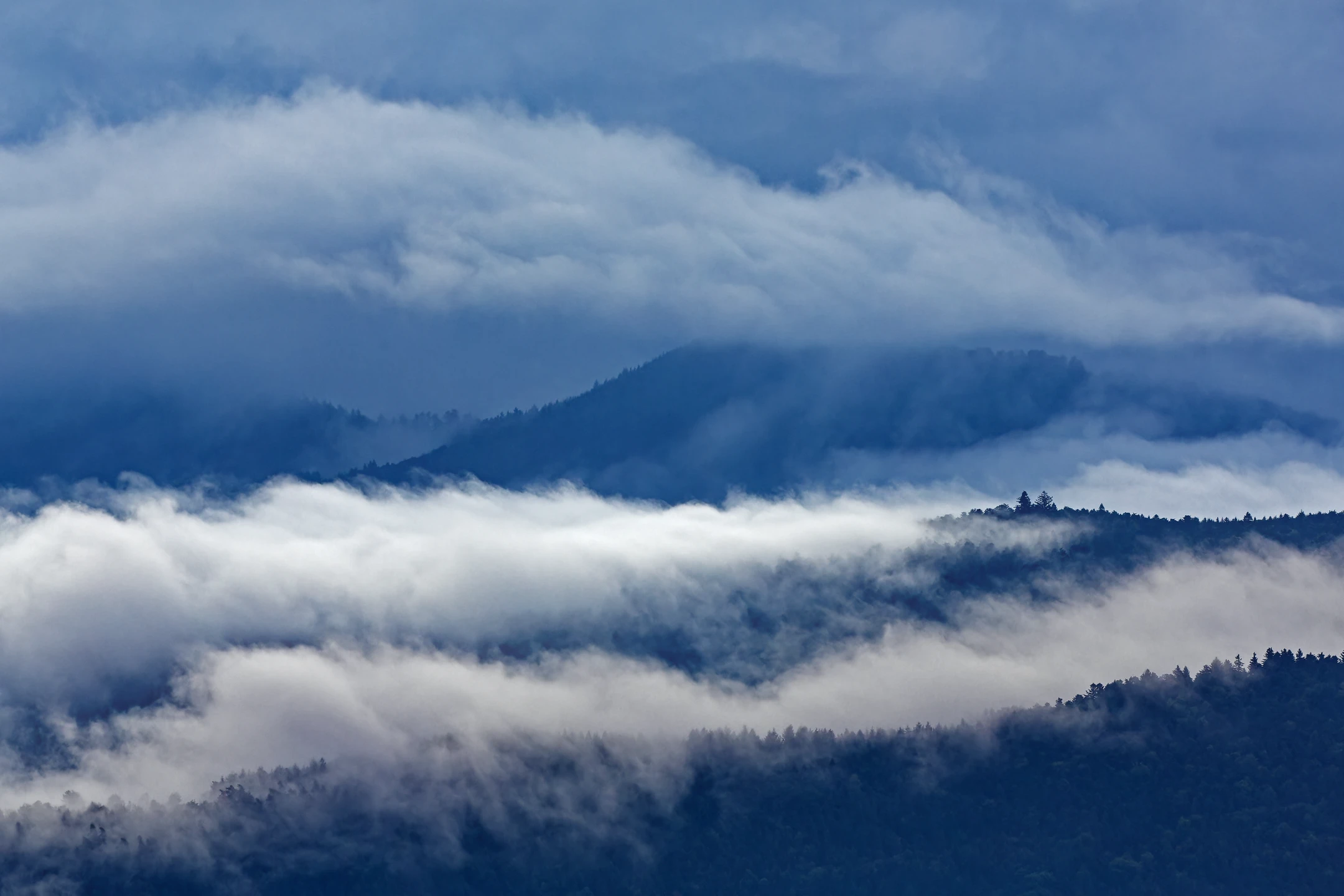 Photo : Brume serpentine vue depuis les Spitzkoepfe en été, Vosges.