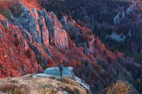 Photo : Montagnes de la Réserve Naturelle du Frankenthal-Missheimle dans la lumière pourpre de l'aube en automne, Vosges.