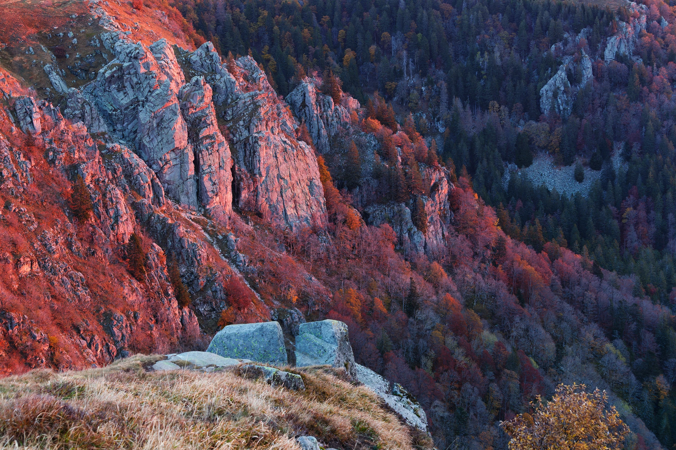 Photo : Montagnes de la Réserve Naturelle du Frankenthal-Missheimle dans la lumière pourpre de l'aube en automne, Vosges.