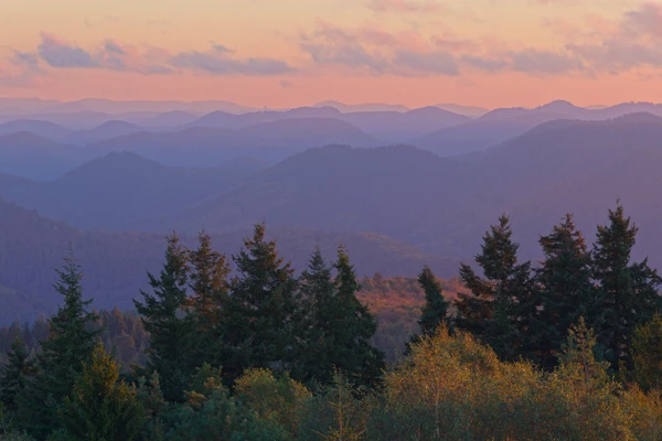Photo : Crêtes des Vosges du Nord dans une magnifique lumière à l'aube à l'automne, Vosges.