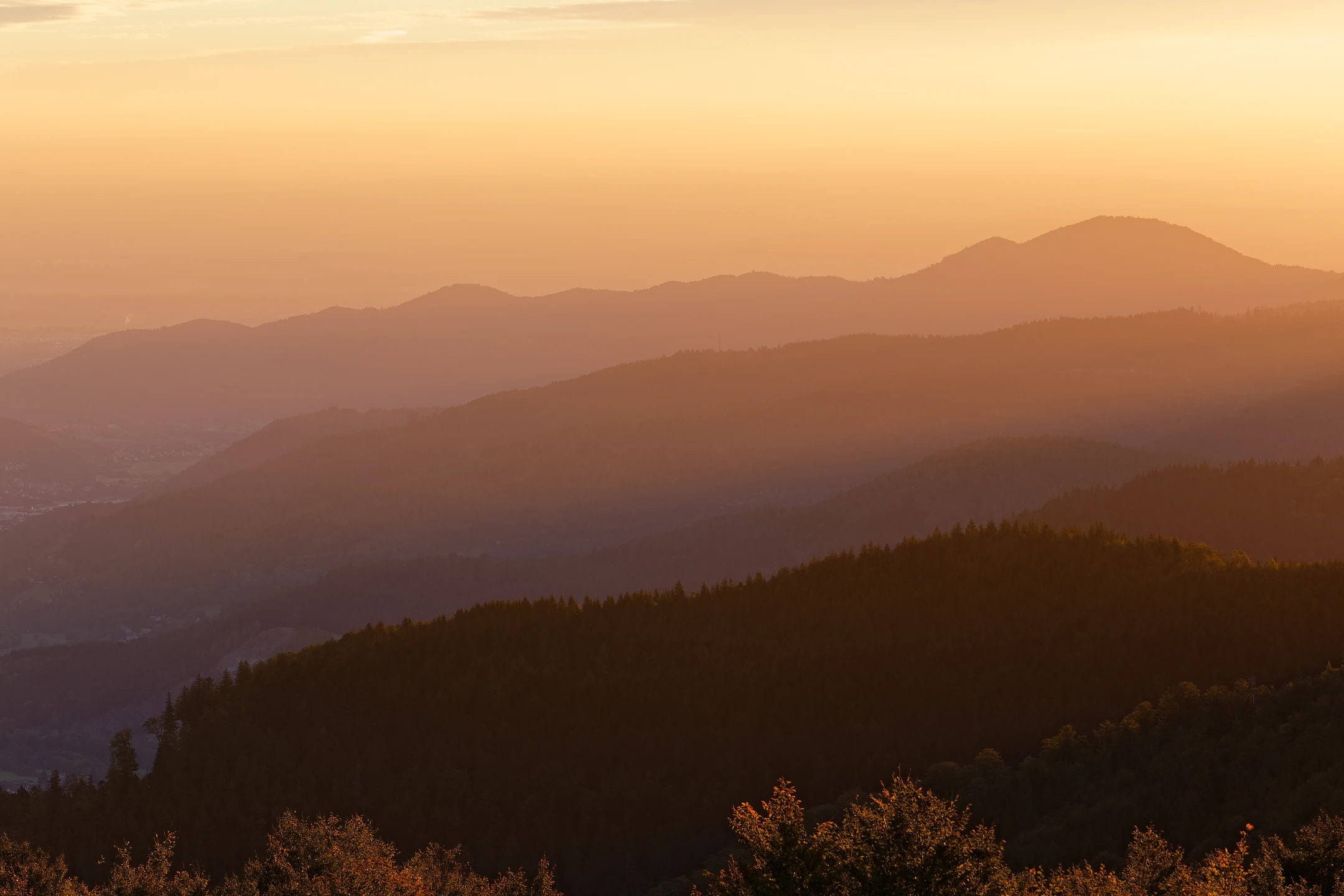 Photo : Montagnes vosgiennes vues à l'aube depuis le Rothenbachkopf, Vosges.