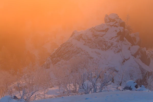 Photo : Brume orangée hivernale intense sur la Réserve Naturelle du Frankenthal, Vosges.