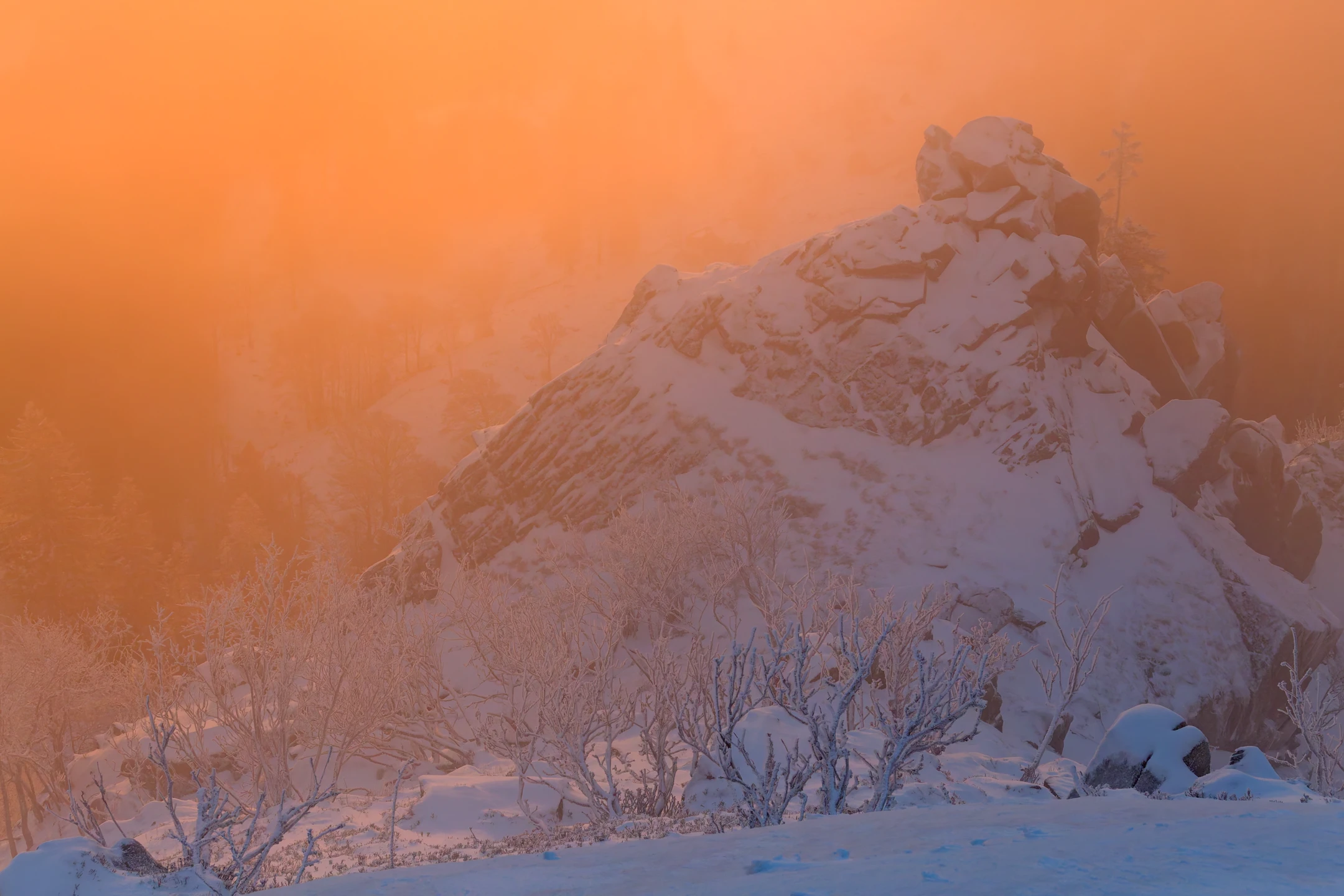 Photo : Brume orangée hivernale intense sur la Réserve Naturelle du Frankenthal, Vosges.