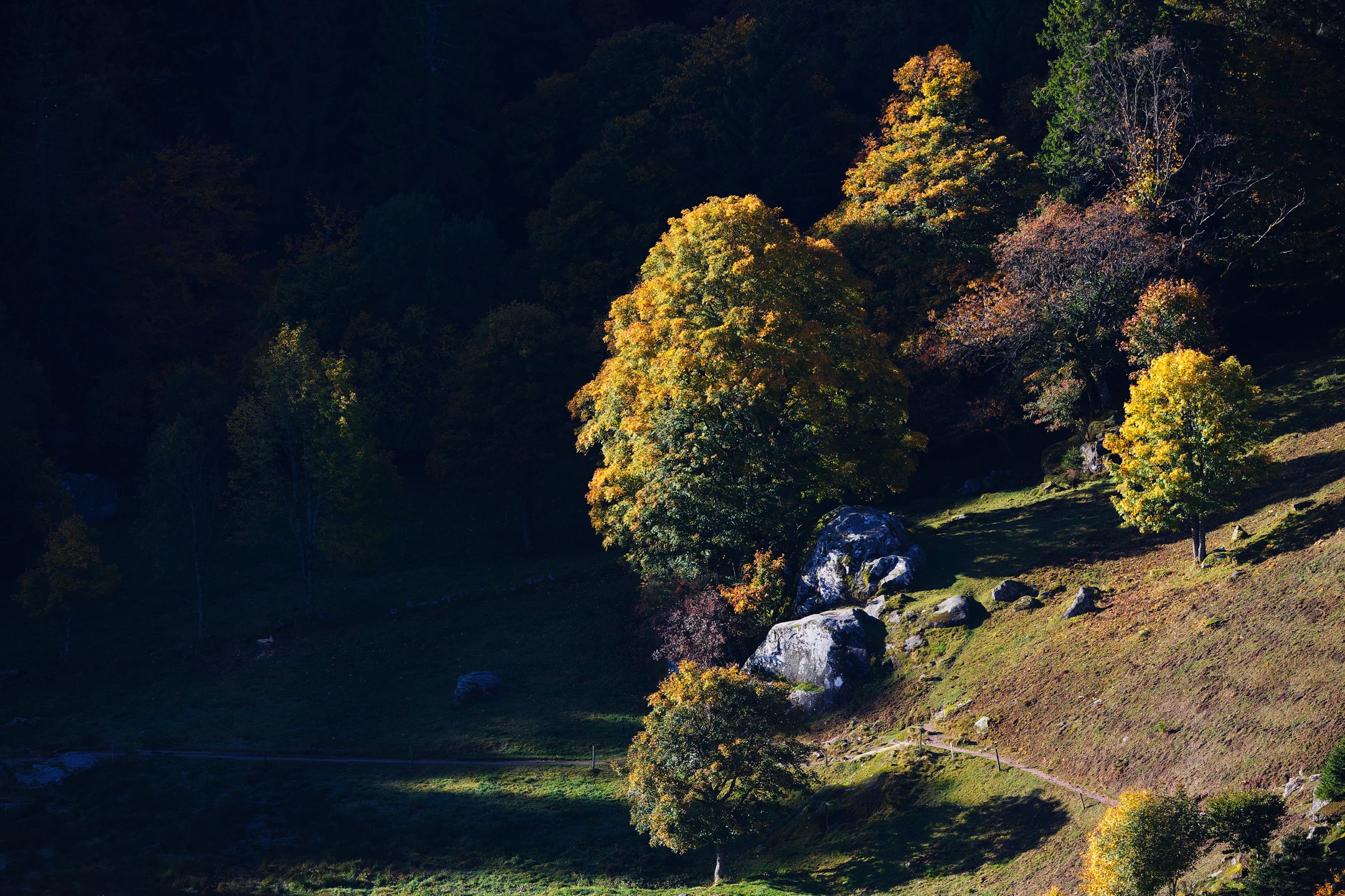 Photo : Réserve Naturelle du Frankenthal-Missheimle à l'automne, Vosges.