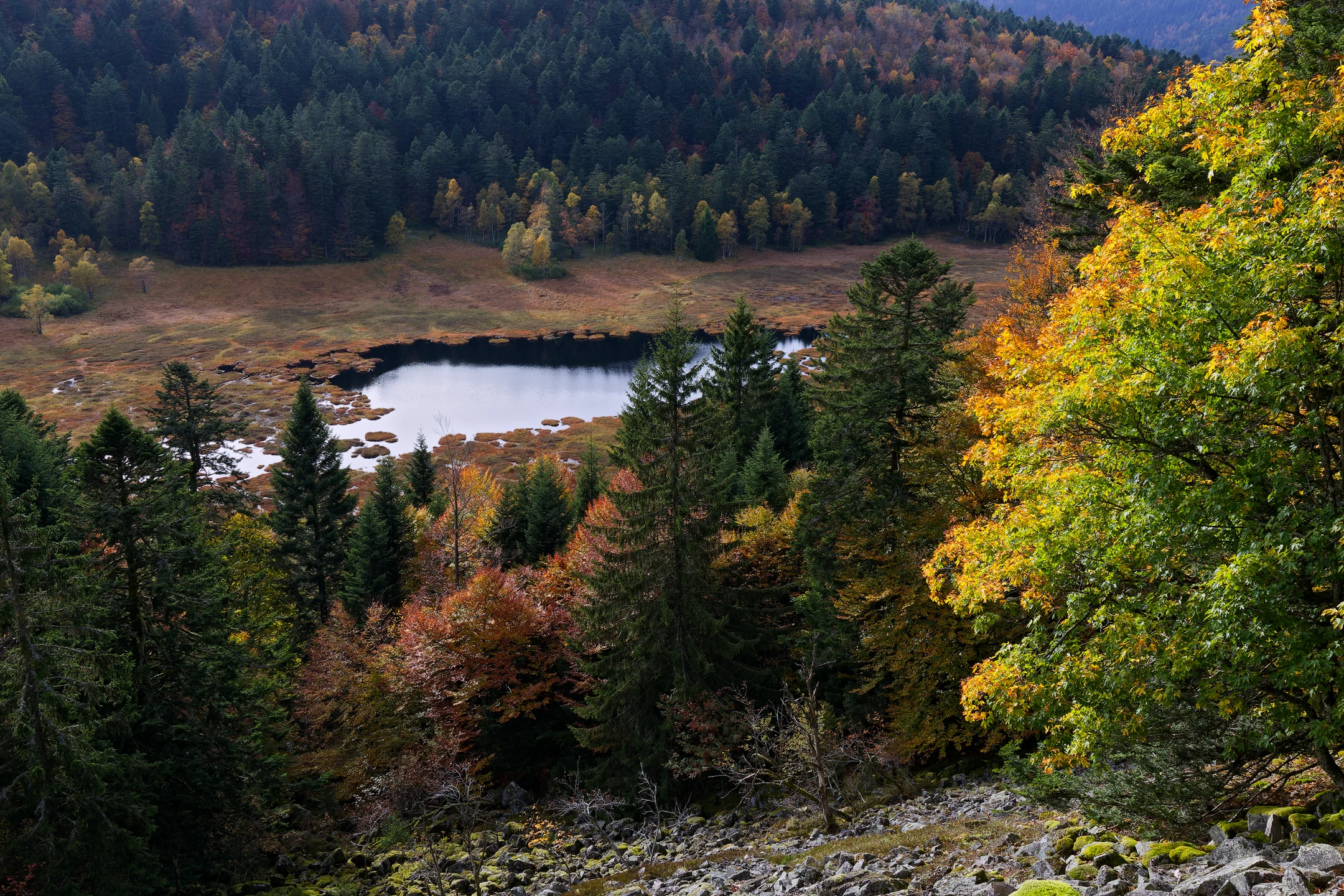 Photo : Tourbière de Machais à l'automne, Vosges.