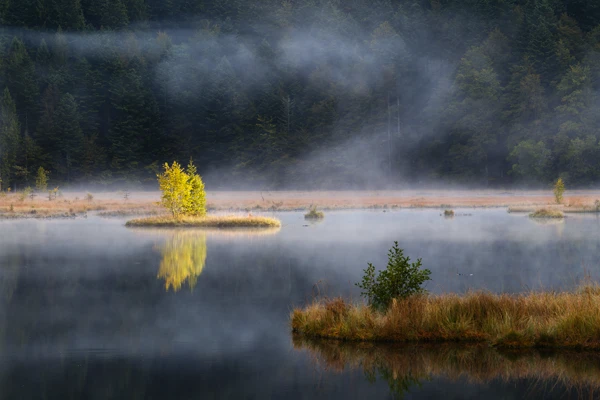 Photo : Lac de Lispach coloré sous une brume automnale, Vosges.