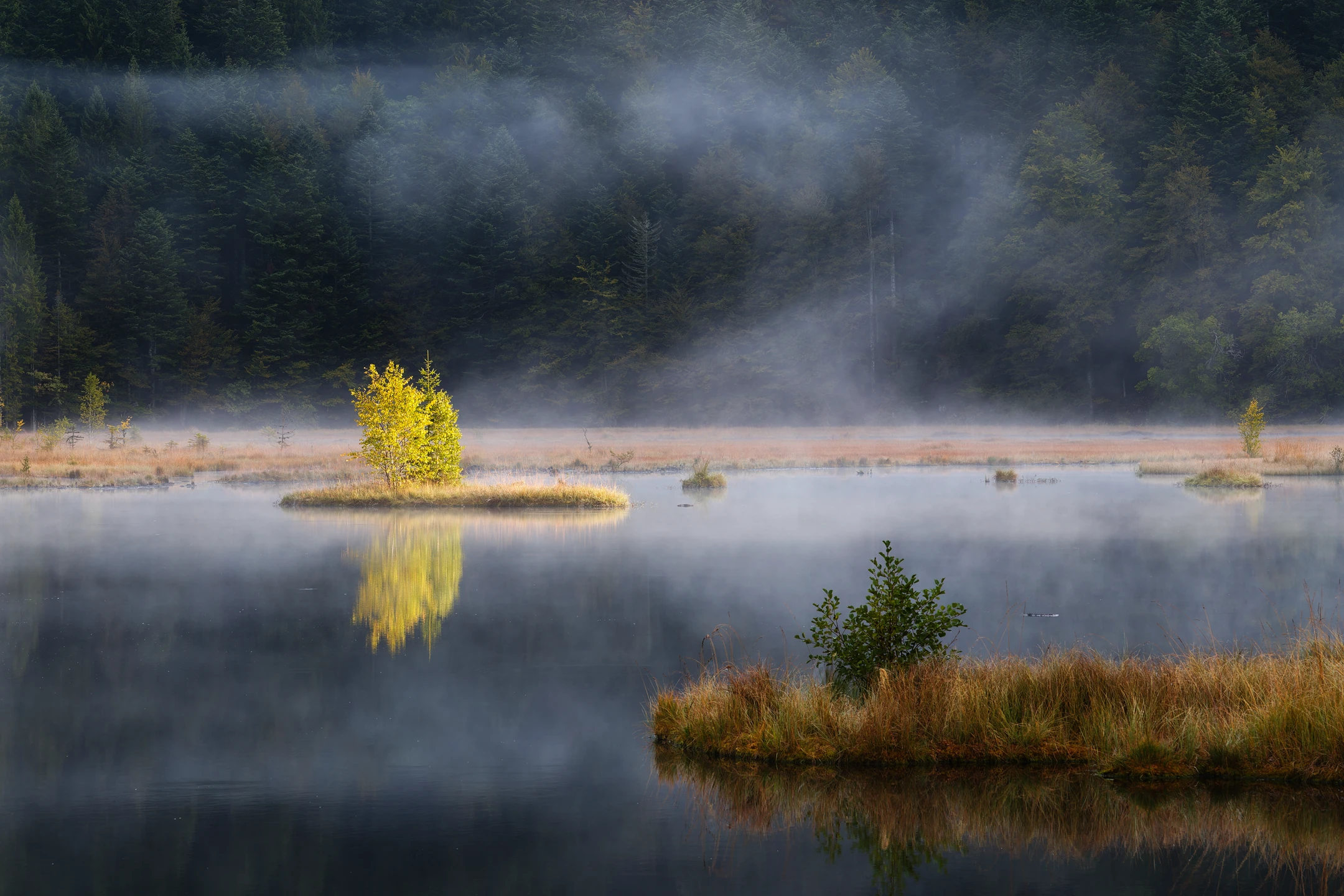 Photo : Lac de Lispach coloré sous une brume automnale, Vosges.