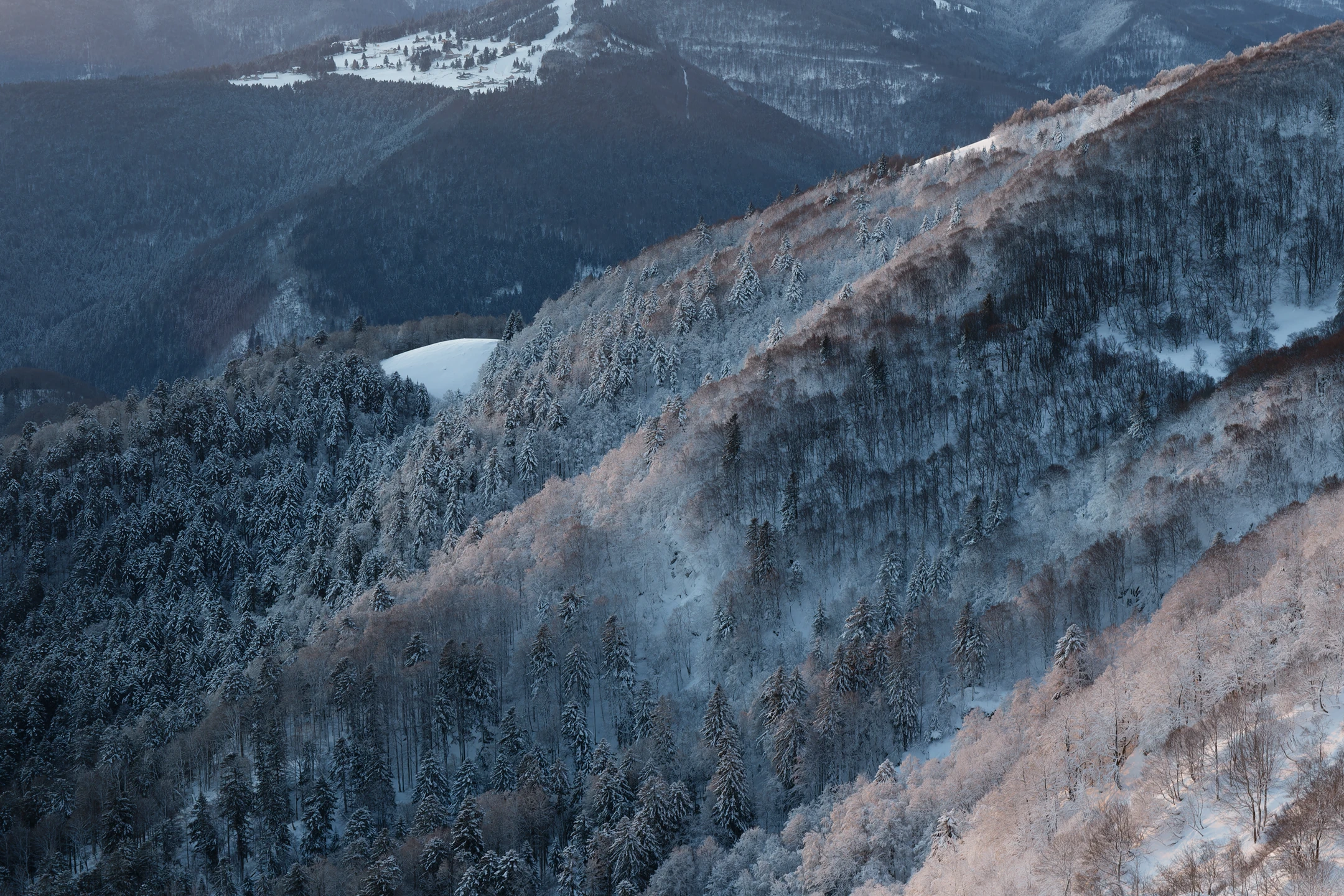 Photo : Chaume du Kerbholz saupoudrée de neige en hiver, Vosges.