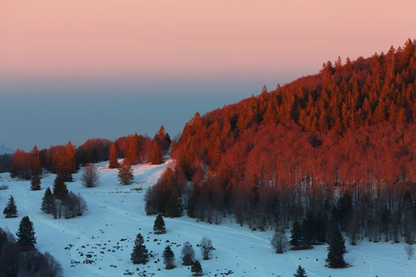 Photo : Markstein en hiver au crépuscule, Vosges.