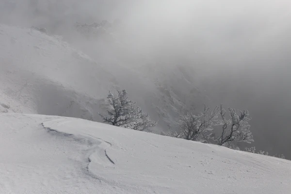 Photo : Spitzkoepfe dans la brume hivernale, Vosges.