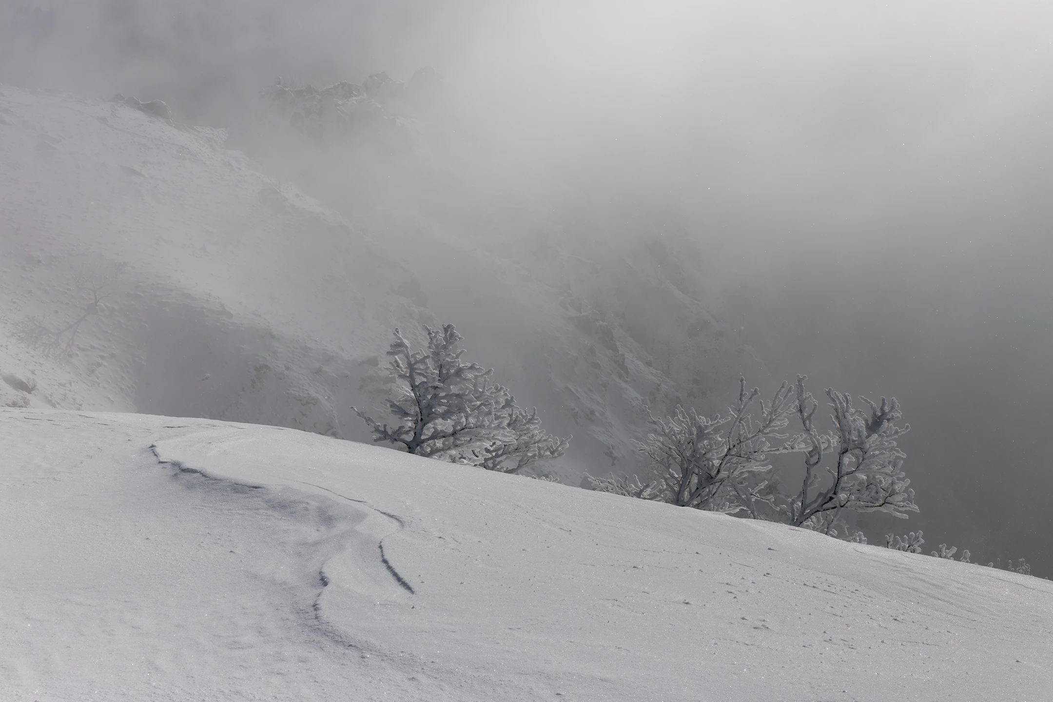 Photo : Spitzkoepfe dans la brume hivernale, Vosges.