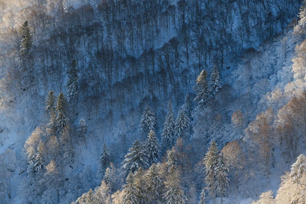 Photo : Kastelberg en hiver, de bleu et de blanc, Vosges.