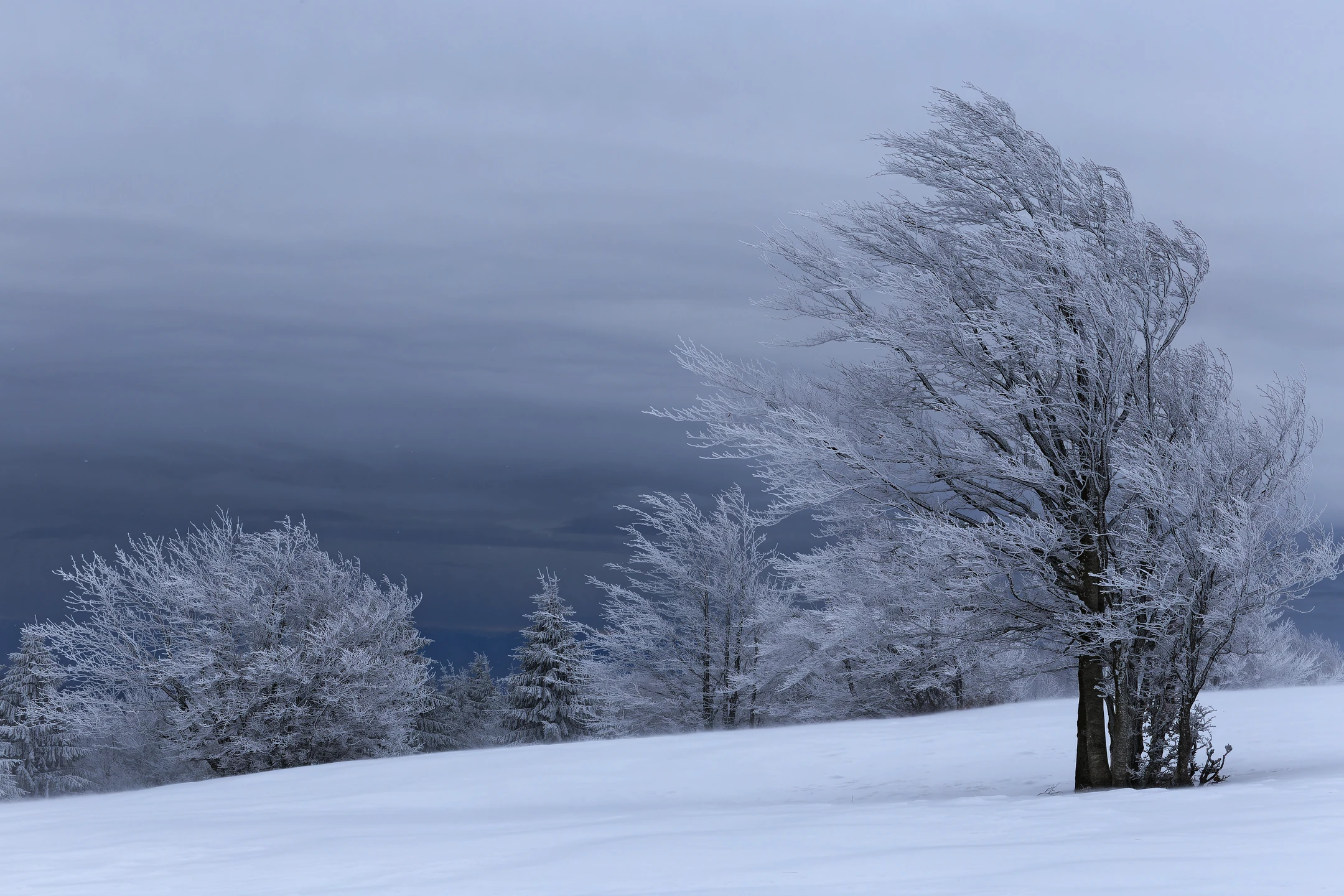 Photo : Paysage hivernal des Trois Fours sous un ciel sombre, Vosges.