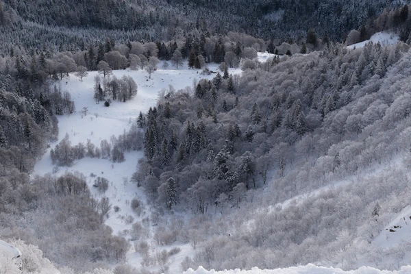 Photo : Neige cendrée sur les Hautes Vosges.