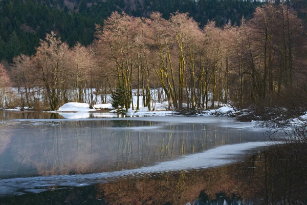 Photo : Lac de Retournemer gelé en hiver, Vosges.