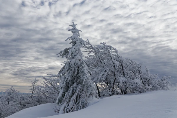 Photo : Les Trois Fours en hiver, Vosges.