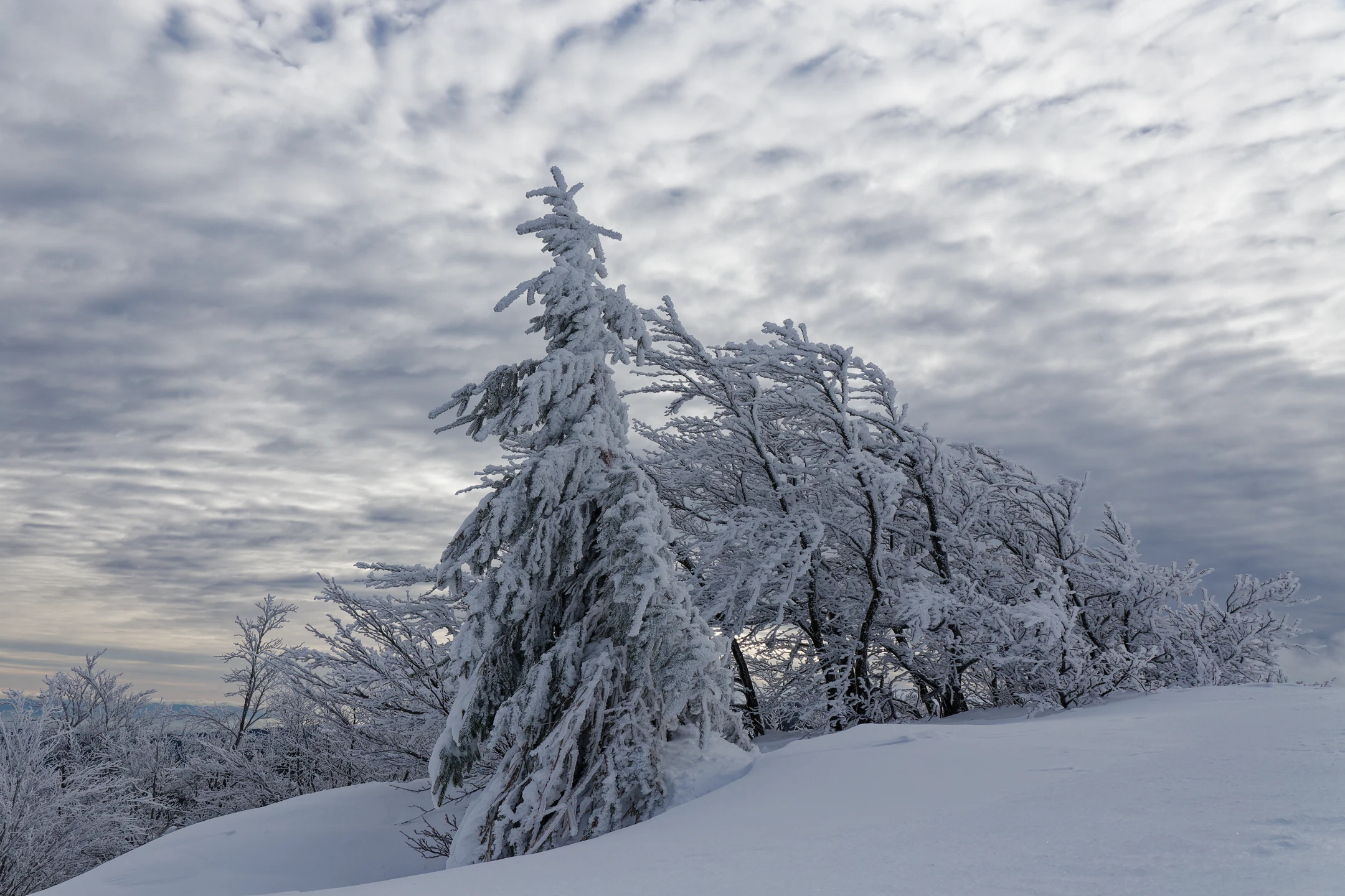 Photo : Les Trois Fours en hiver, Vosges.