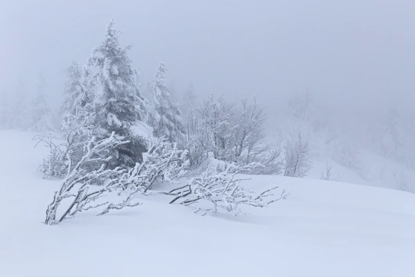 Photo : Brume épaisse sur la Martinswand de la réserve Naturelle du Frankenthal-Missheimle en hiver, Vosges.