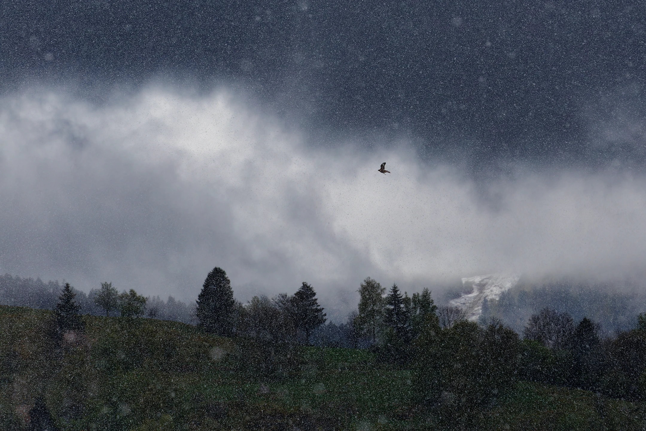 Photo : Décors de scène médiévale fantastique en hiver avec un oiseau survolant les Hautes Voges ressemblant à un dragon, Vosges.