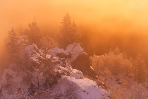 Photo : Brume hivernale orange extrême sur la Réserve Naturelle du Frankenthal, Vosges.