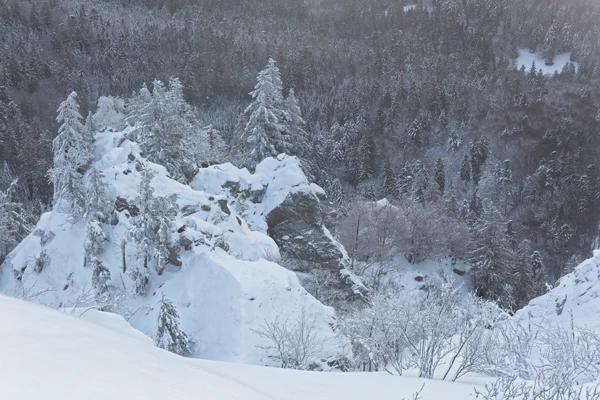 Photo : Promontoire enneigé de la Réserve Naturelle Nationale de Frankenthal-Missheimle, Vosges.