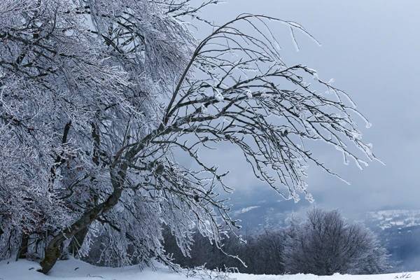 Photo : Ballon d'Alsace givré en hiver, Vosges.