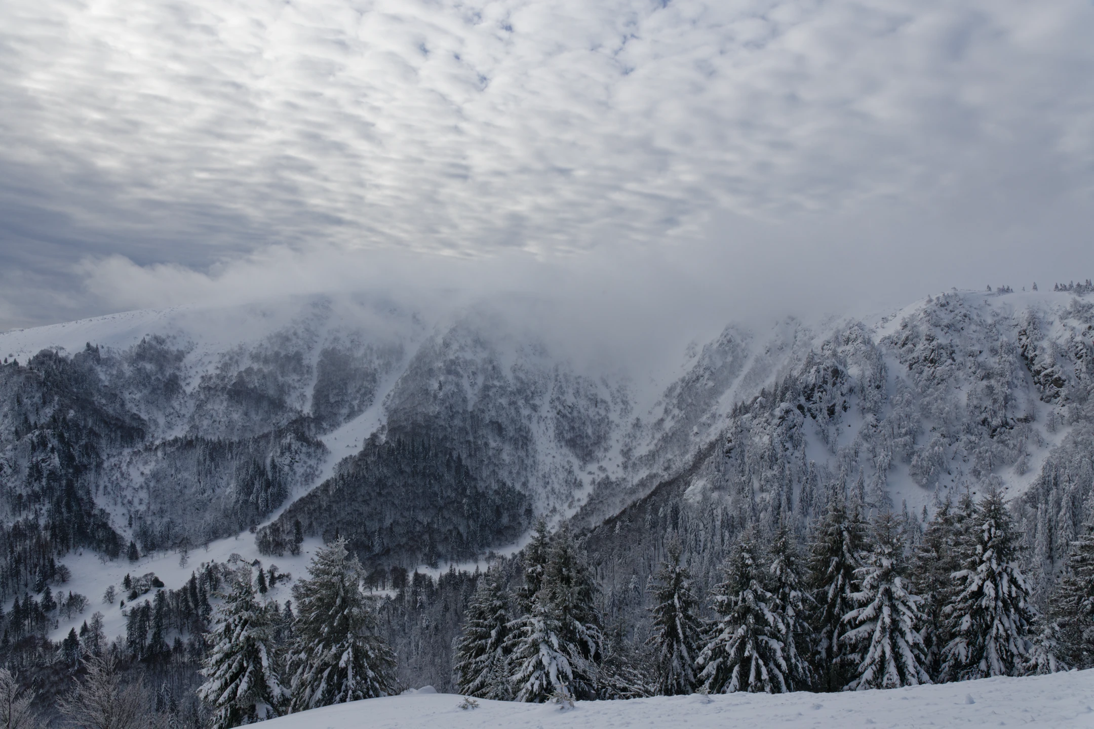 Photo : Réserve Naturelle du Frankenthal-Missheimle enneigée en hiver, Vosges.